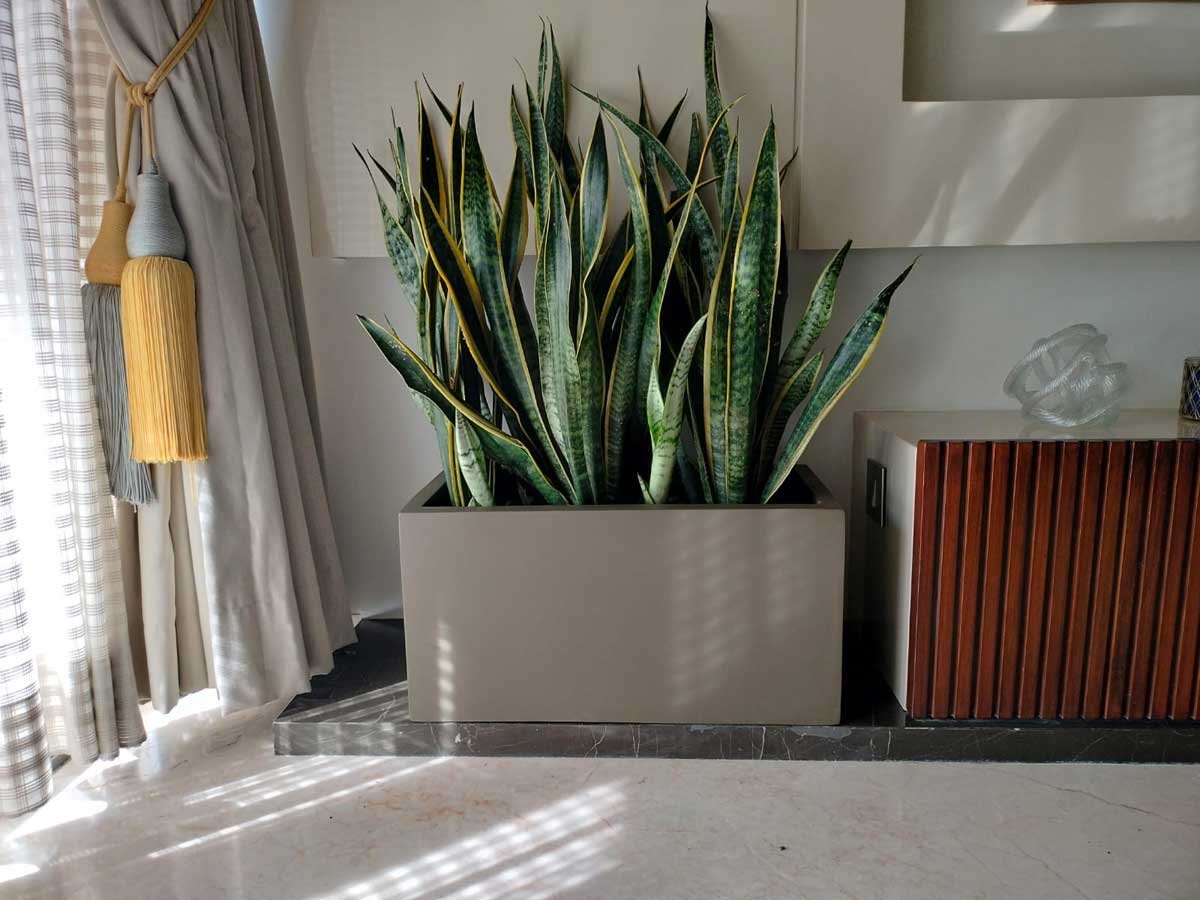 Custom Container & Pot Displays