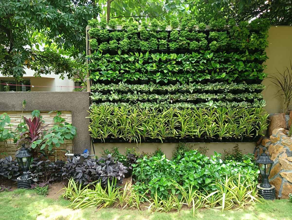 Vertical & Green Wall Gardens